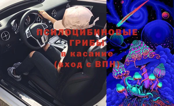 стаф Киреевск