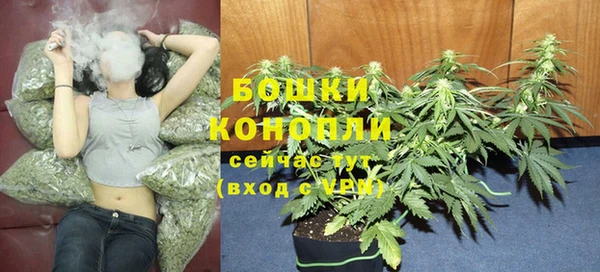 амф Кодинск