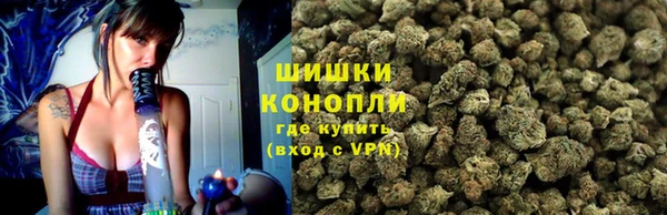 2c-b Козельск