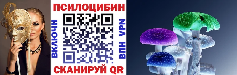 блэк спрут как войти  Красноперекопск  Псилоцибиновые грибы Cubensis  магазин   